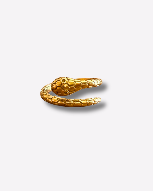 Snake ring
